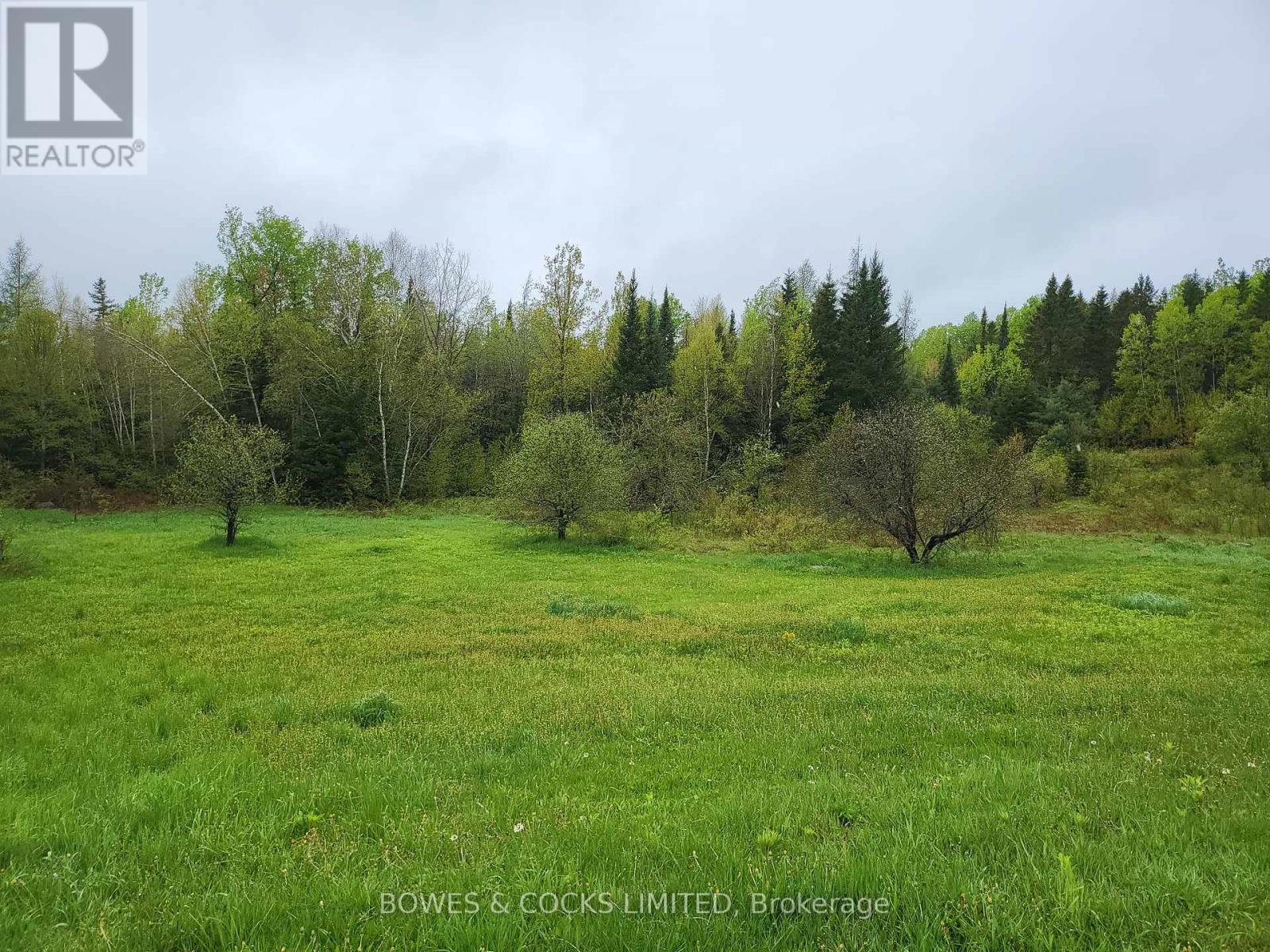 447 Frantz Road, Hastings Highlands (Wicklow Ward), Ontario  K0L 2S0 - Photo 39 - X12208891