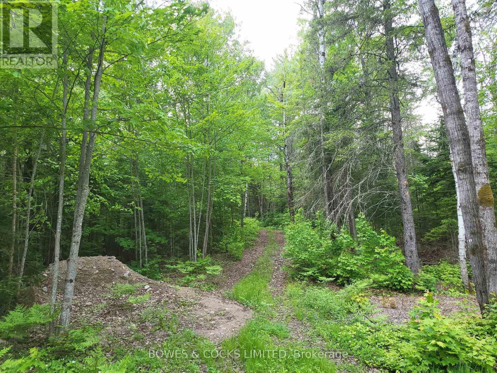 447 Frantz Road, Hastings Highlands (Wicklow Ward), Ontario  K0L 2S0 - Photo 44 - X12208891