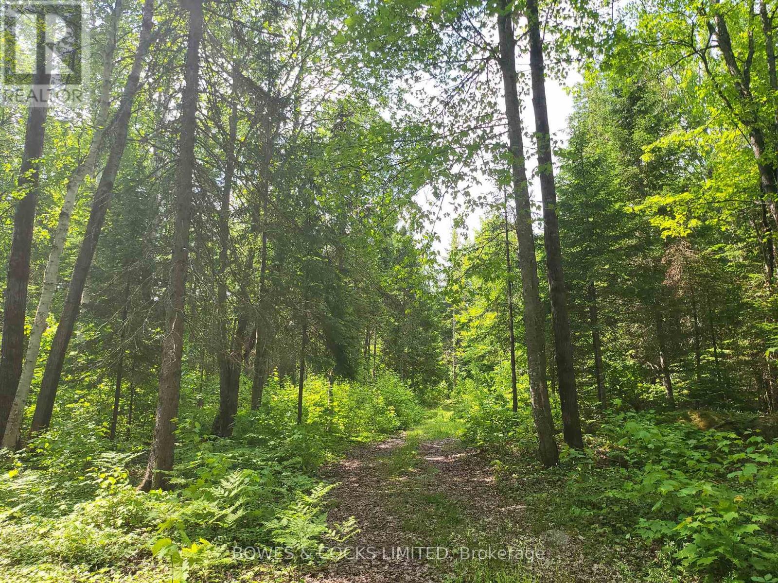 447 Frantz Road, Hastings Highlands (Wicklow Ward), Ontario  K0L 2S0 - Photo 45 - X12208891