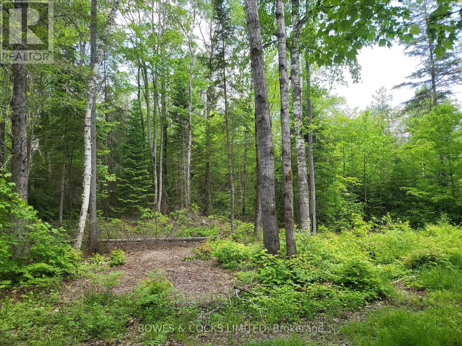 447 Frantz Road, Hastings Highlands (Wicklow Ward), Ontario  K0L 2S0 - Photo 46 - X12208891