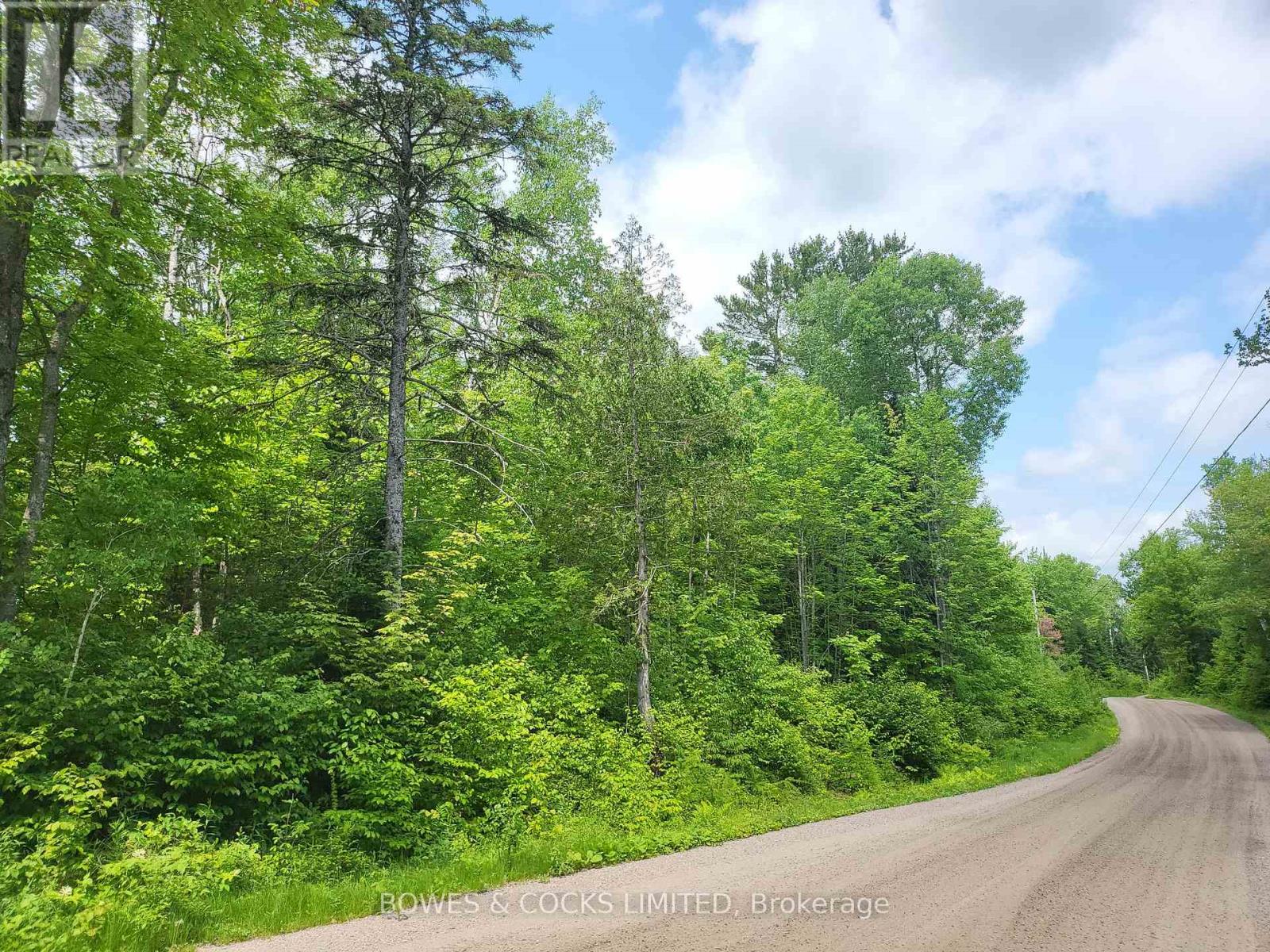 447 Frantz Road, Hastings Highlands (Wicklow Ward), Ontario  K0L 2S0 - Photo 47 - X12208891