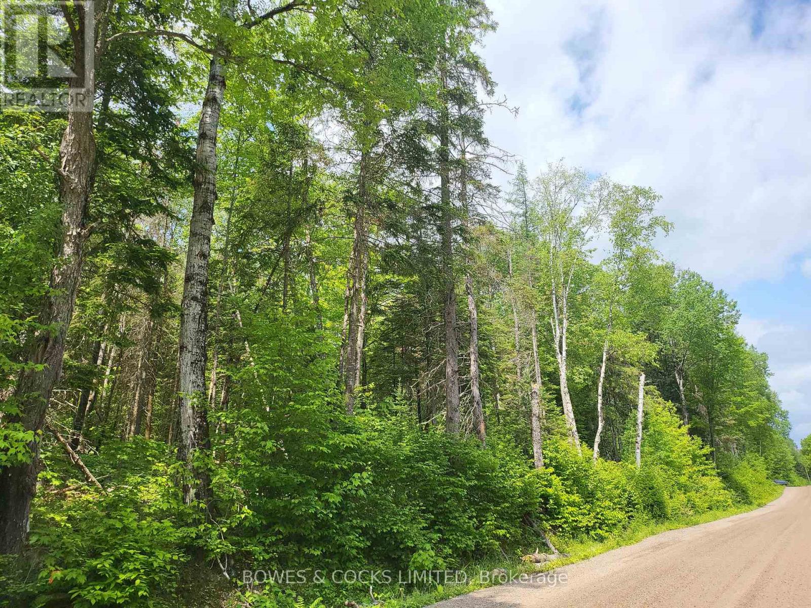 447 Frantz Road, Hastings Highlands (Wicklow Ward), Ontario  K0L 2S0 - Photo 48 - X12208891