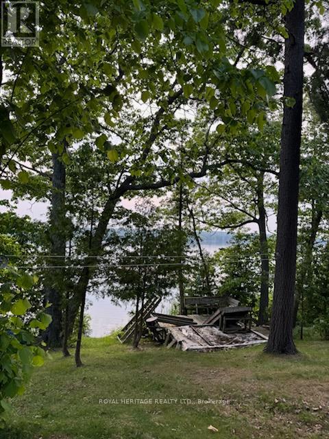 1474 Grenadier Island, Selwyn, Ontario  K0L 2H0 - Photo 4 - X12210051