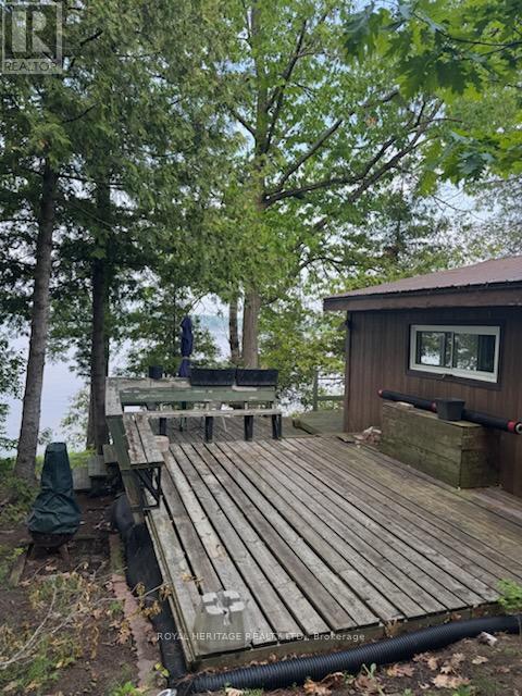 1474 Grenadier Island, Selwyn, Ontario  K0L 2H0 - Photo 7 - X12210051