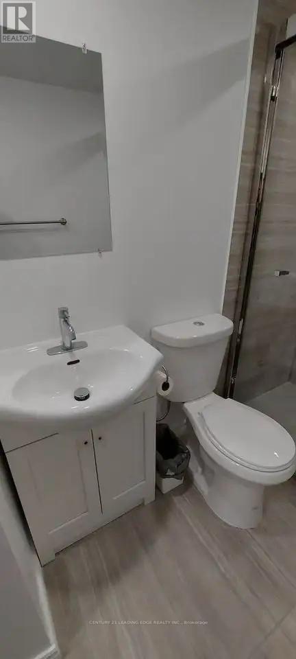Basement - 46 Chatterson Street, Whitby (Rolling Acres), Ontario  L1B 1E9 - Photo 6 - E12213340
