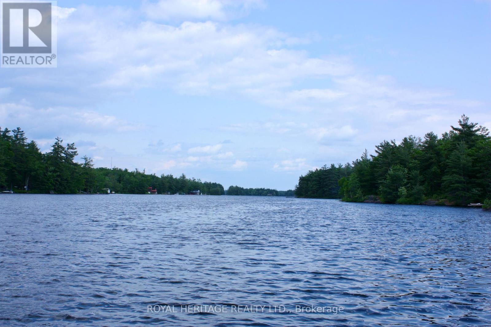 385 Island 38, Havelock-Belmont-Methuen, Ontario  K0L 2H0 - Photo 4 - X12213531