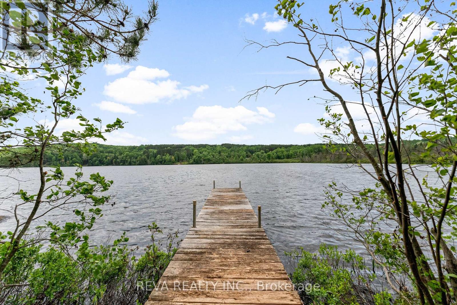 146 Mccahon Road, Hastings Highlands (Mcclure Ward), Ontario  K0L 2S0 - Photo 35 - X12215833