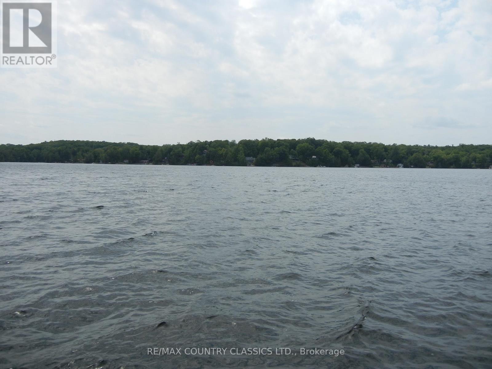 316 Trotter-Oitment Road, North Kawartha, Ontario  K0L 1A0 - Photo 11 - X12216685