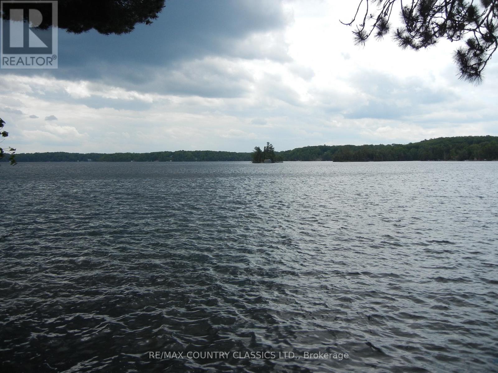 316 Trotter-Oitment Road, North Kawartha, Ontario  K0L 1A0 - Photo 13 - X12216685