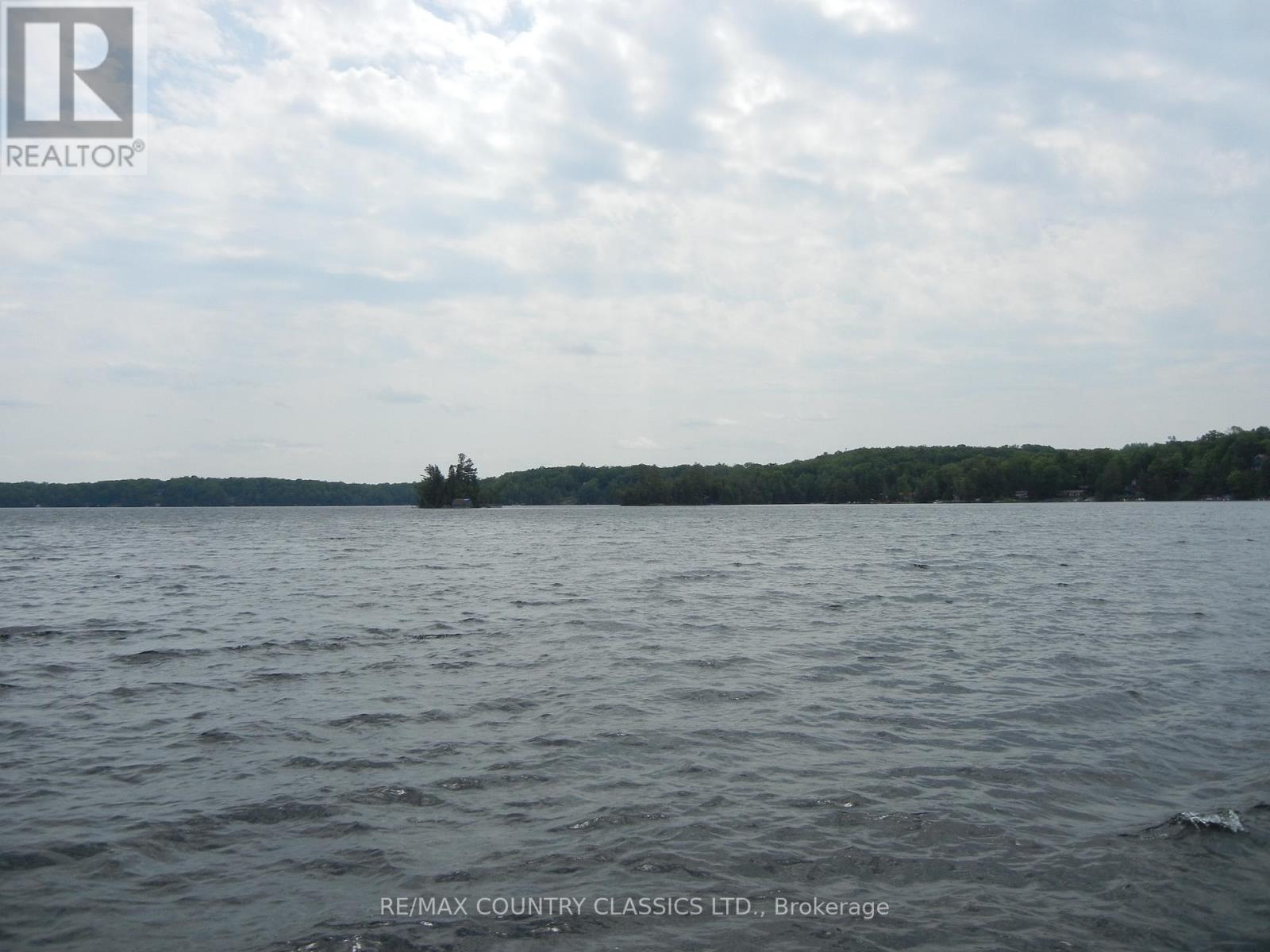 316 Trotter-Oitment Road, North Kawartha, Ontario  K0L 1A0 - Photo 9 - X12216685