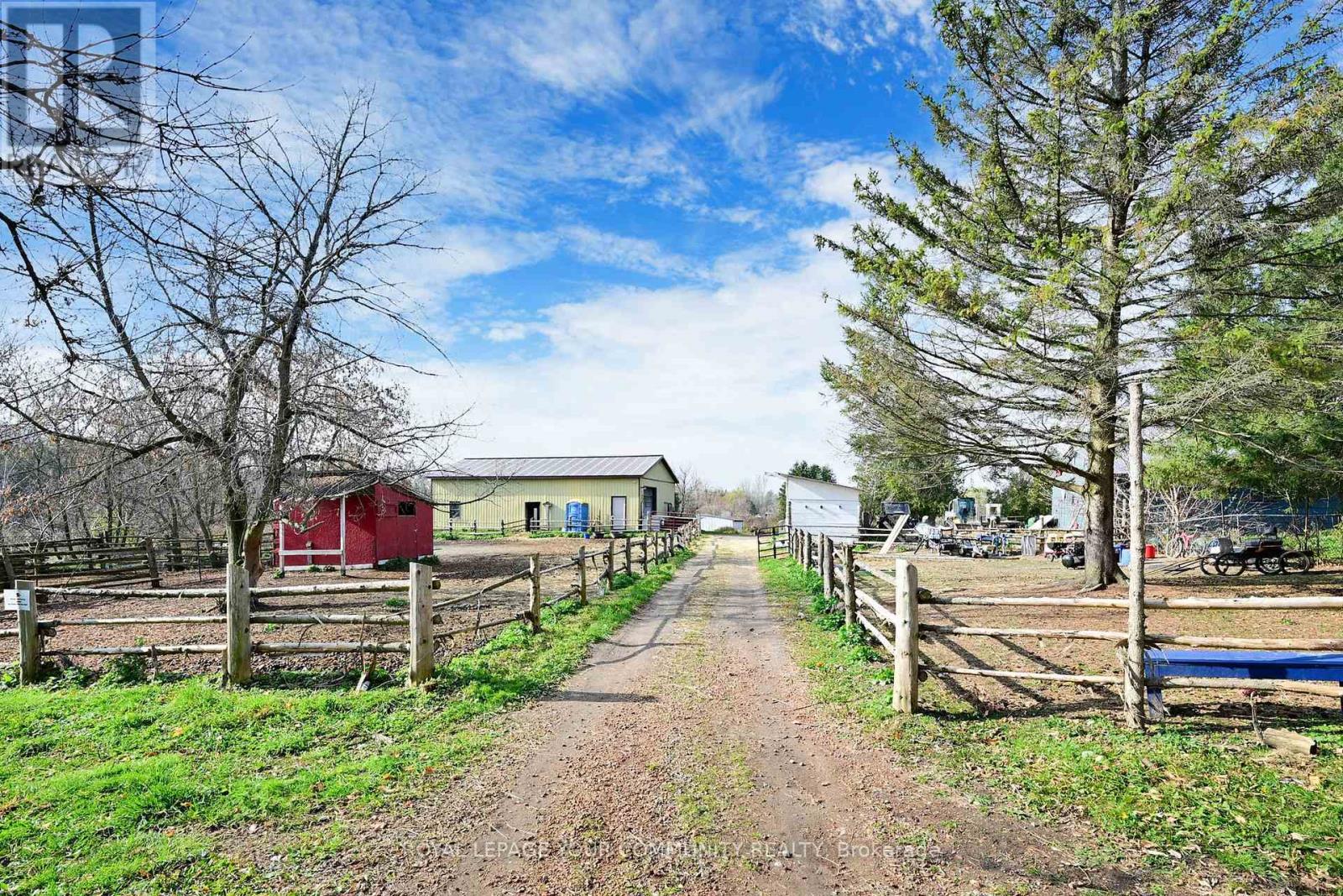 14 Distillery Street E, Kawartha Lakes (Omemee), Ontario  K0L 2W0 - Photo 21 - X12218101