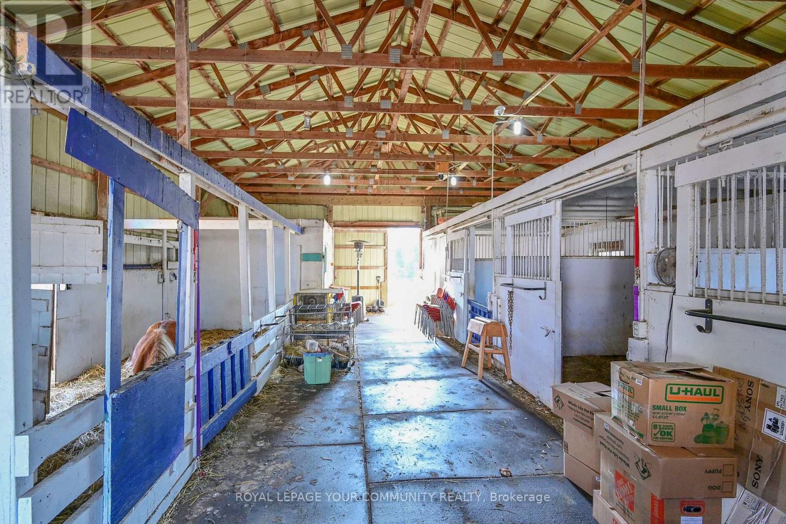 14 Distillery Street E, Kawartha Lakes (Omemee), Ontario  K0L 2W0 - Photo 8 - X12218101