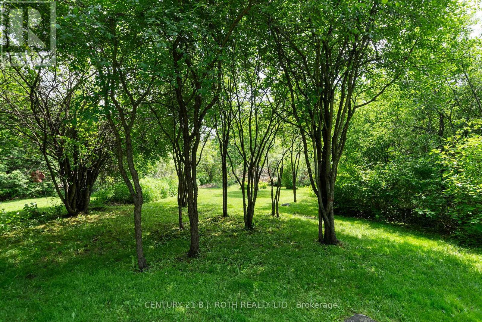 98 Laurent Boulevard, Kawartha Lakes (Lindsay), Ontario  K9V 0G8 - Photo 34 - X12218944