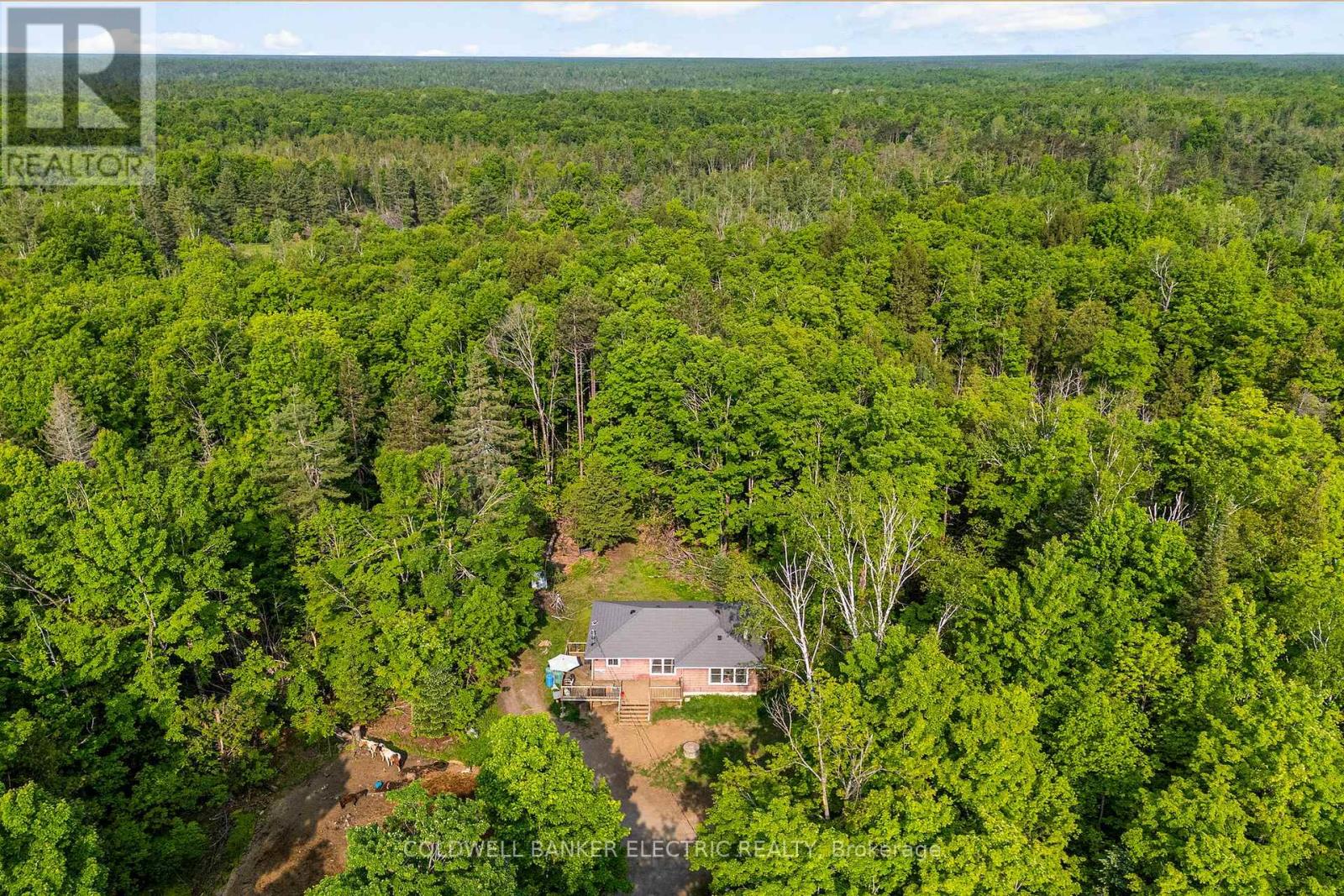 8248 County Road 46 Road, Havelock-Belmont-Methuen, Ontario  K0L 1A0 - Photo 1 - X12219647