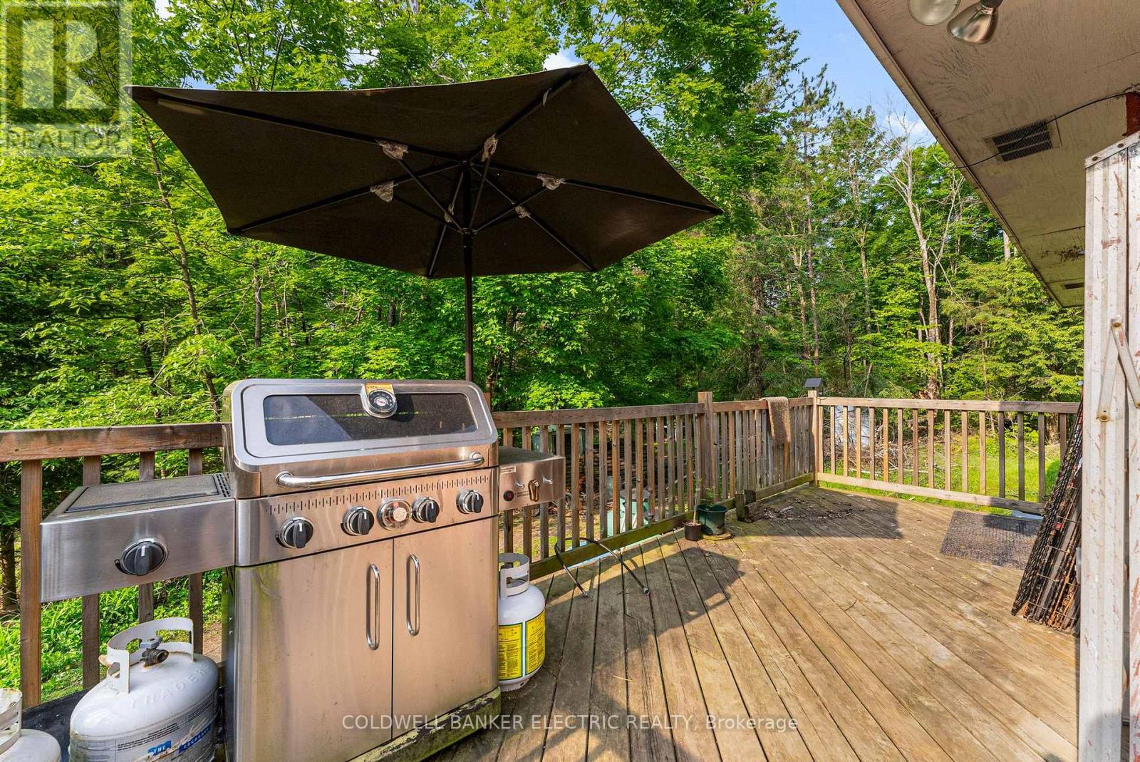 8248 County Road 46 Road, Havelock-Belmont-Methuen, Ontario  K0L 1A0 - Photo 16 - X12219647