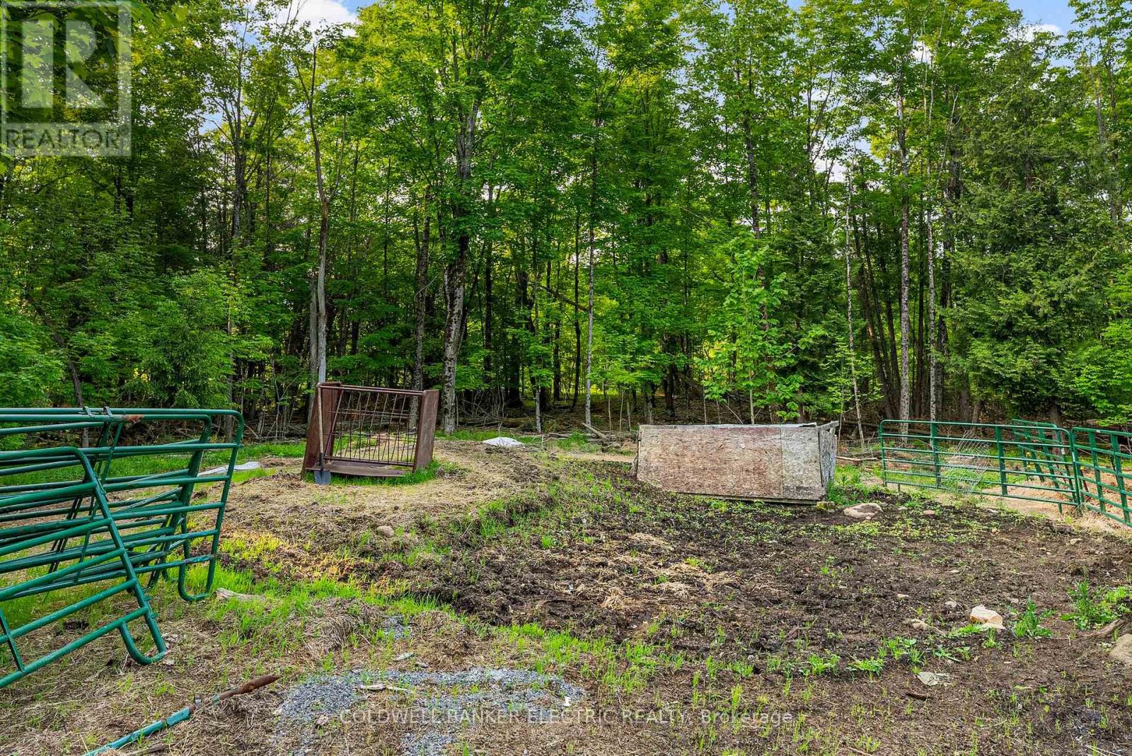 8248 County Road 46 Road, Havelock-Belmont-Methuen, Ontario  K0L 1A0 - Photo 21 - X12219647