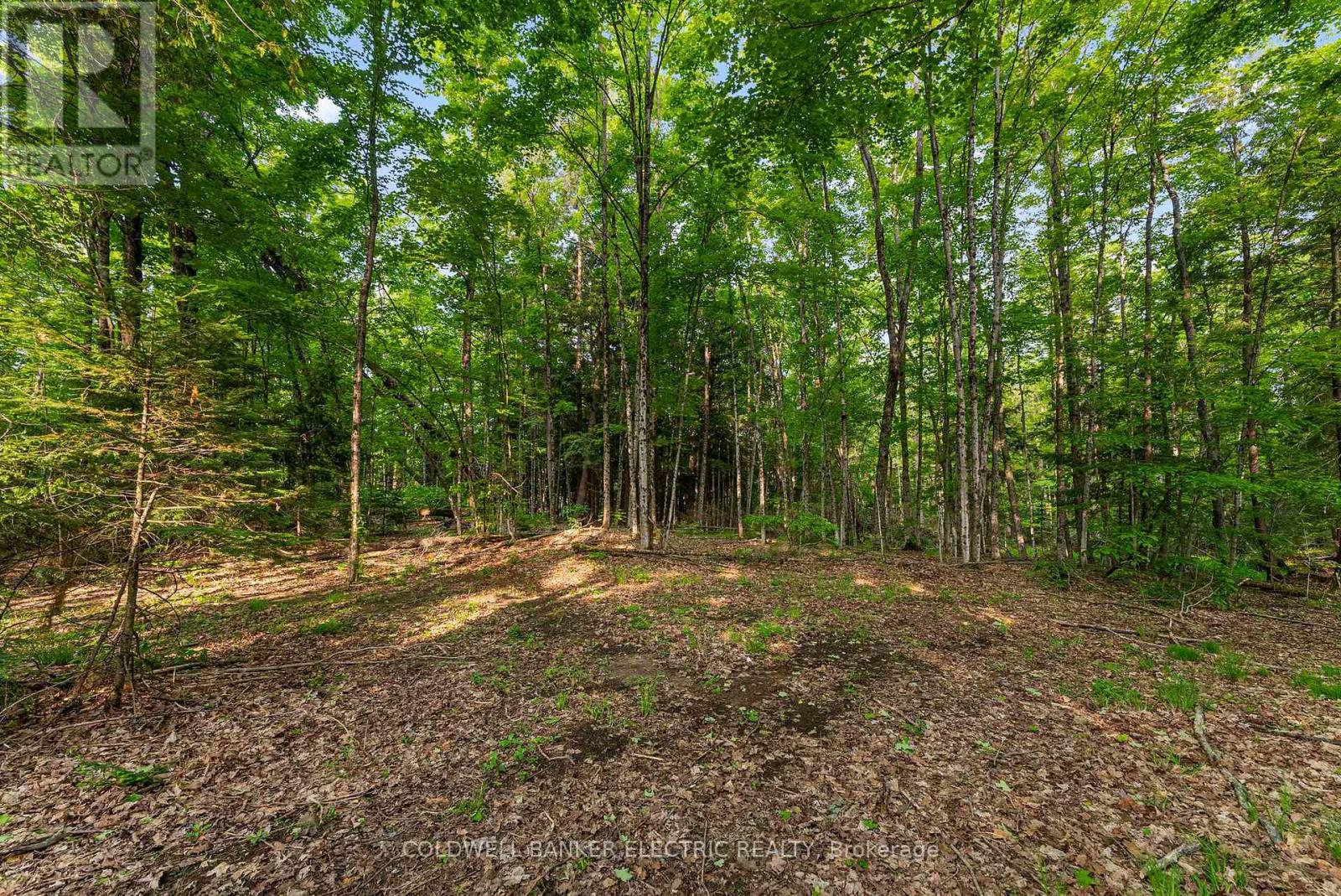 8248 County Road 46 Road, Havelock-Belmont-Methuen, Ontario  K0L 1A0 - Photo 24 - X12219647