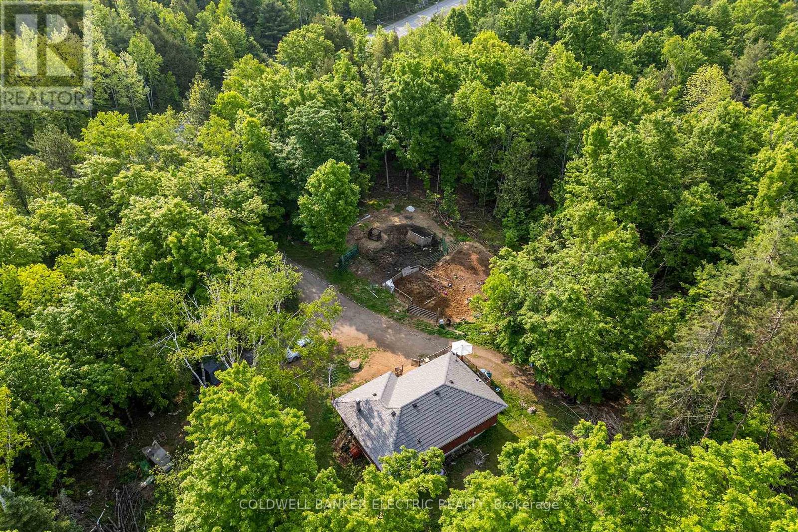 8248 County Road 46 Road, Havelock-Belmont-Methuen, Ontario  K0L 1A0 - Photo 30 - X12219647