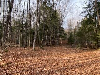 8248 County Road 46 Road, Havelock-Belmont-Methuen, Ontario  K0L 1A0 - Photo 31 - X12219647