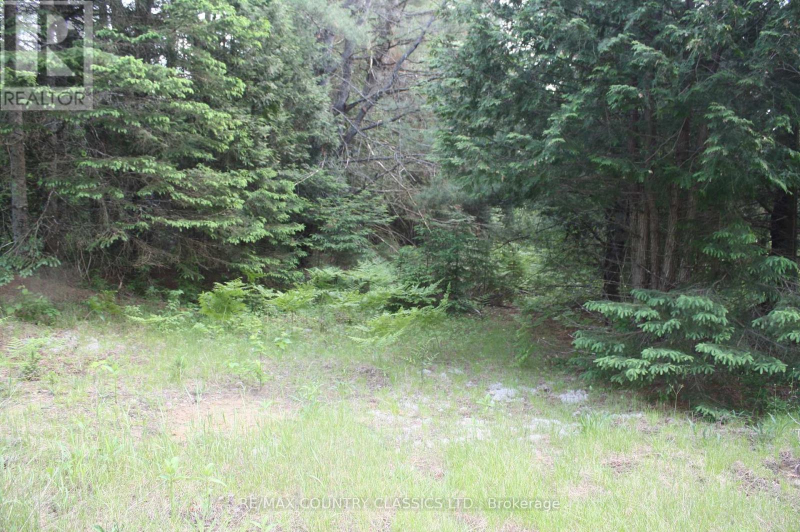 0 Highway 620, Wollaston, Ontario  K0L 1P0 - Photo 4 - X12219931