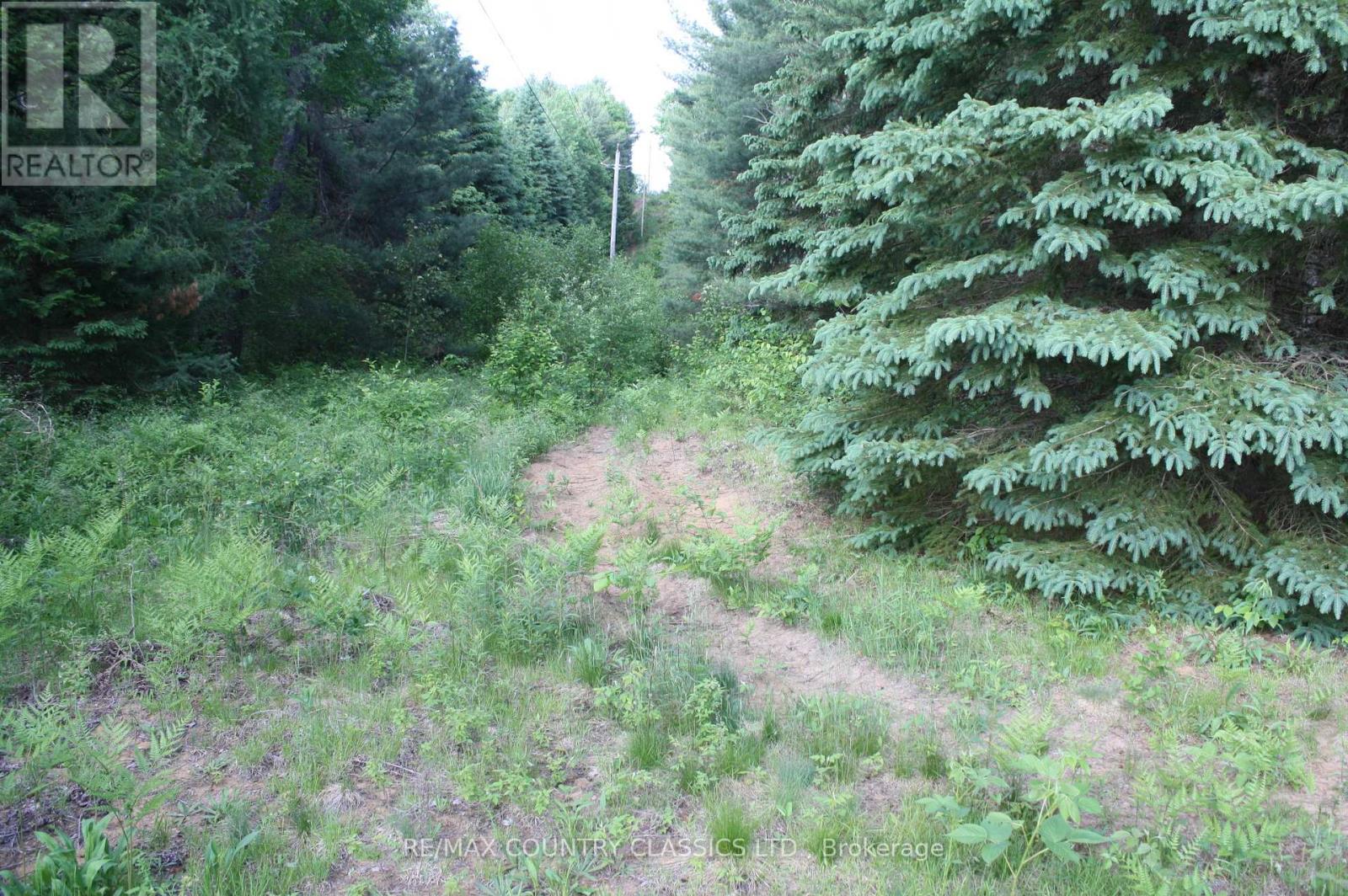 0 Highway 620, Wollaston, Ontario  K0L 1P0 - Photo 5 - X12219931