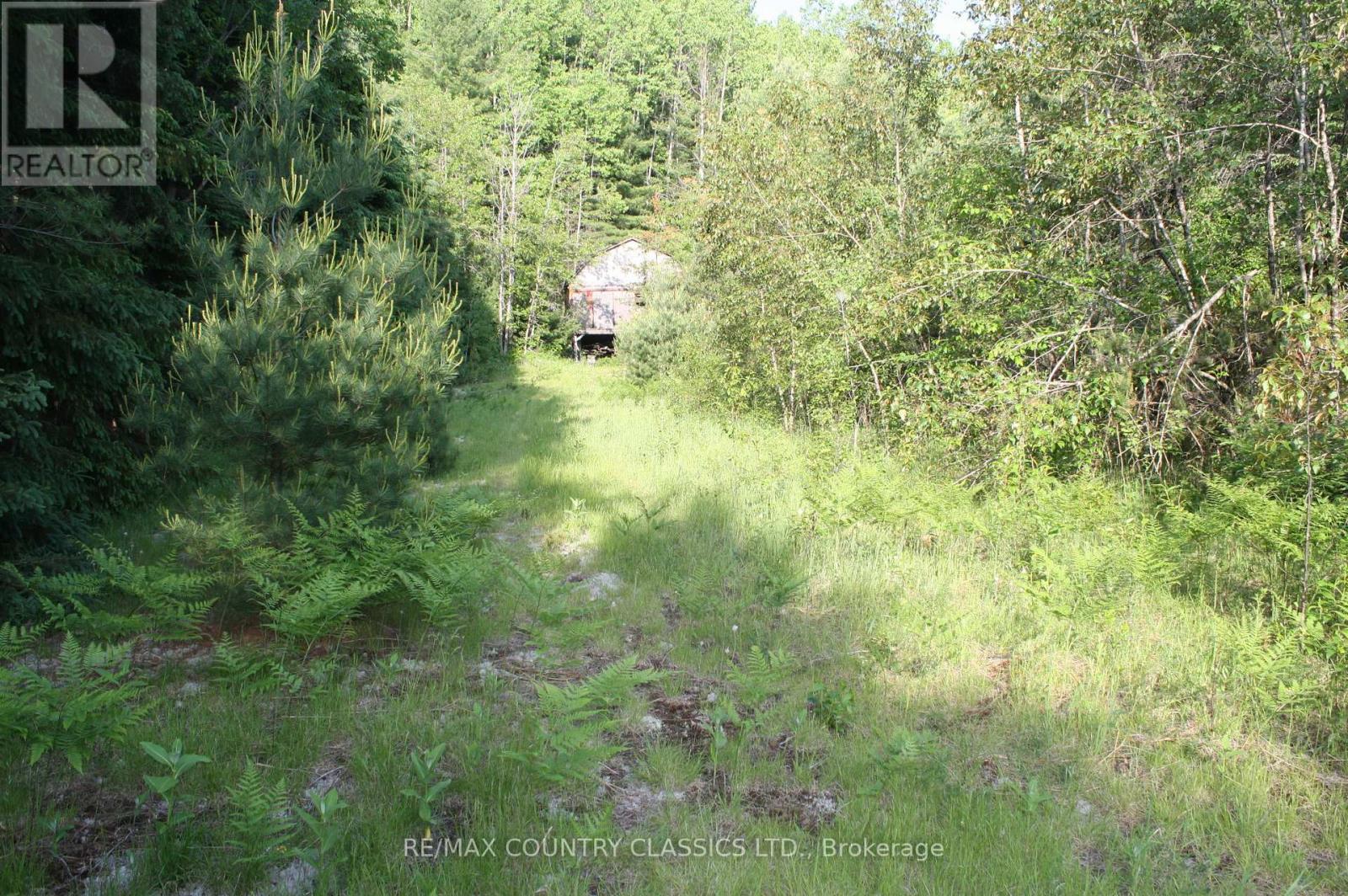 0 Highway 620, Wollaston, Ontario  K0L 1P0 - Photo 6 - X12219931