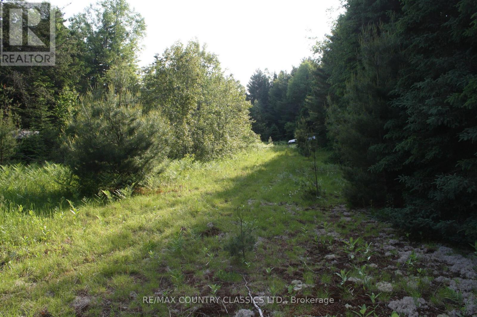 0 Highway 620, Wollaston, Ontario  K0L 1P0 - Photo 9 - X12219931