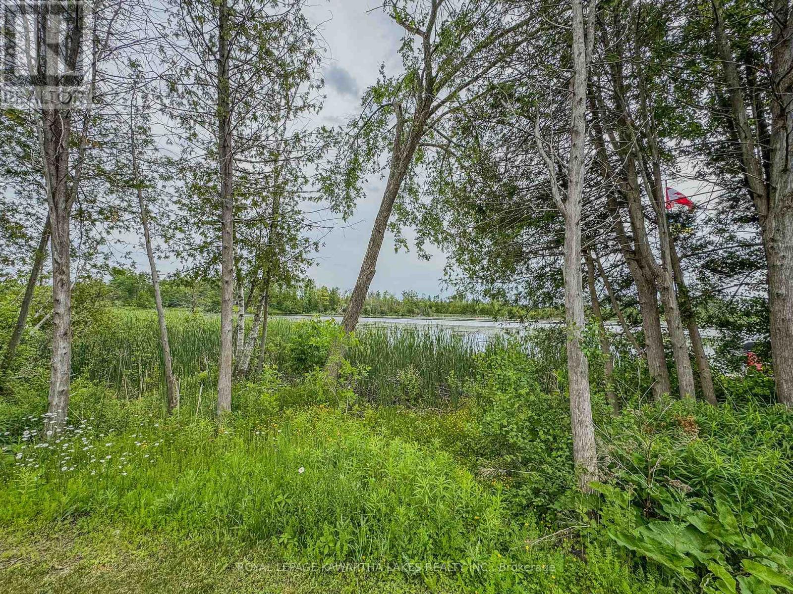 Wv19 - 657 Thunder Bridge Road, Kawartha Lakes (Ops), Ontario  K9V 4R1 - Photo 22 - X12220393