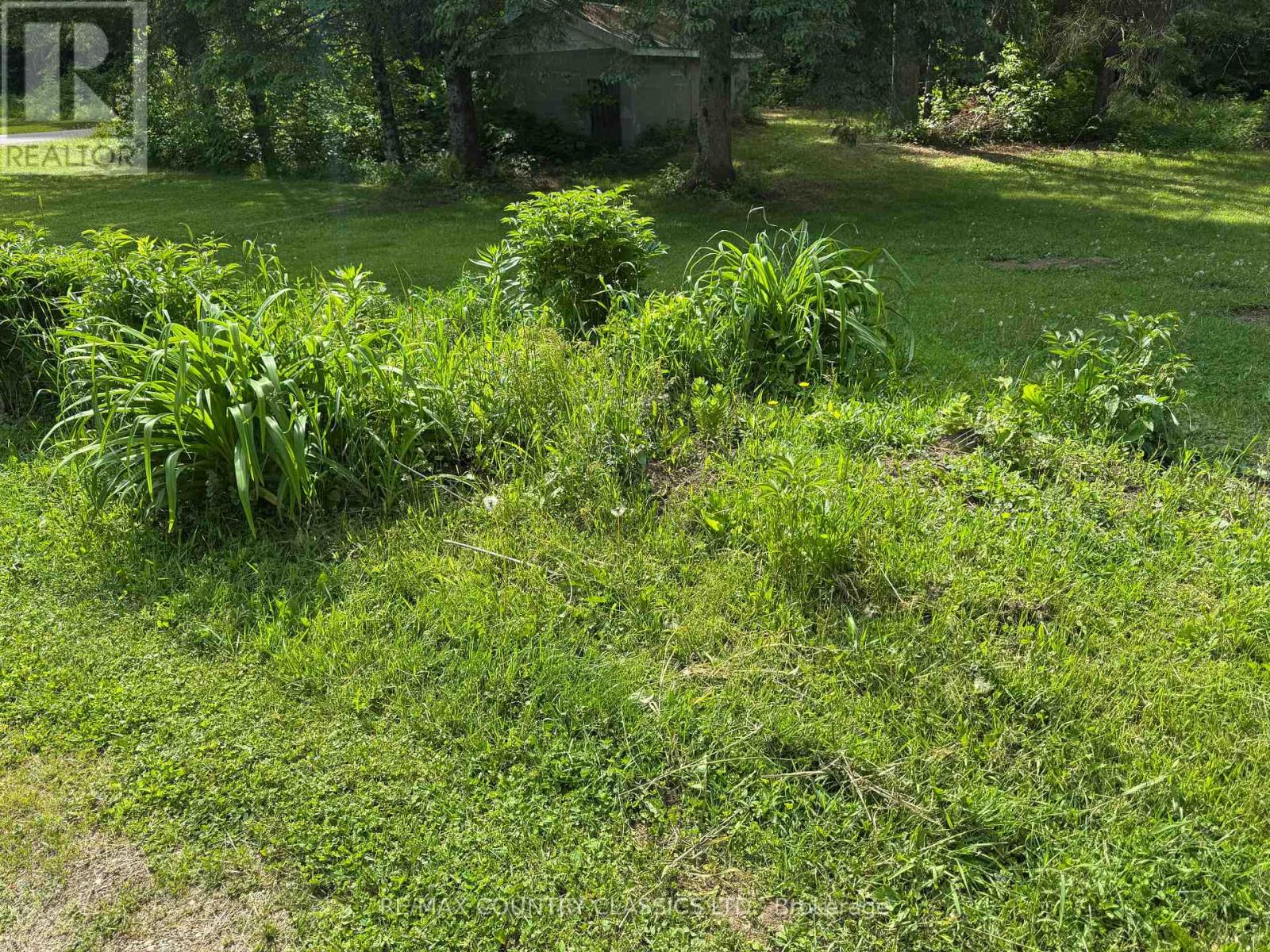 57 Cross Road, Faraday, Ontario  K0L 1C0 - Photo 14 - X12223012