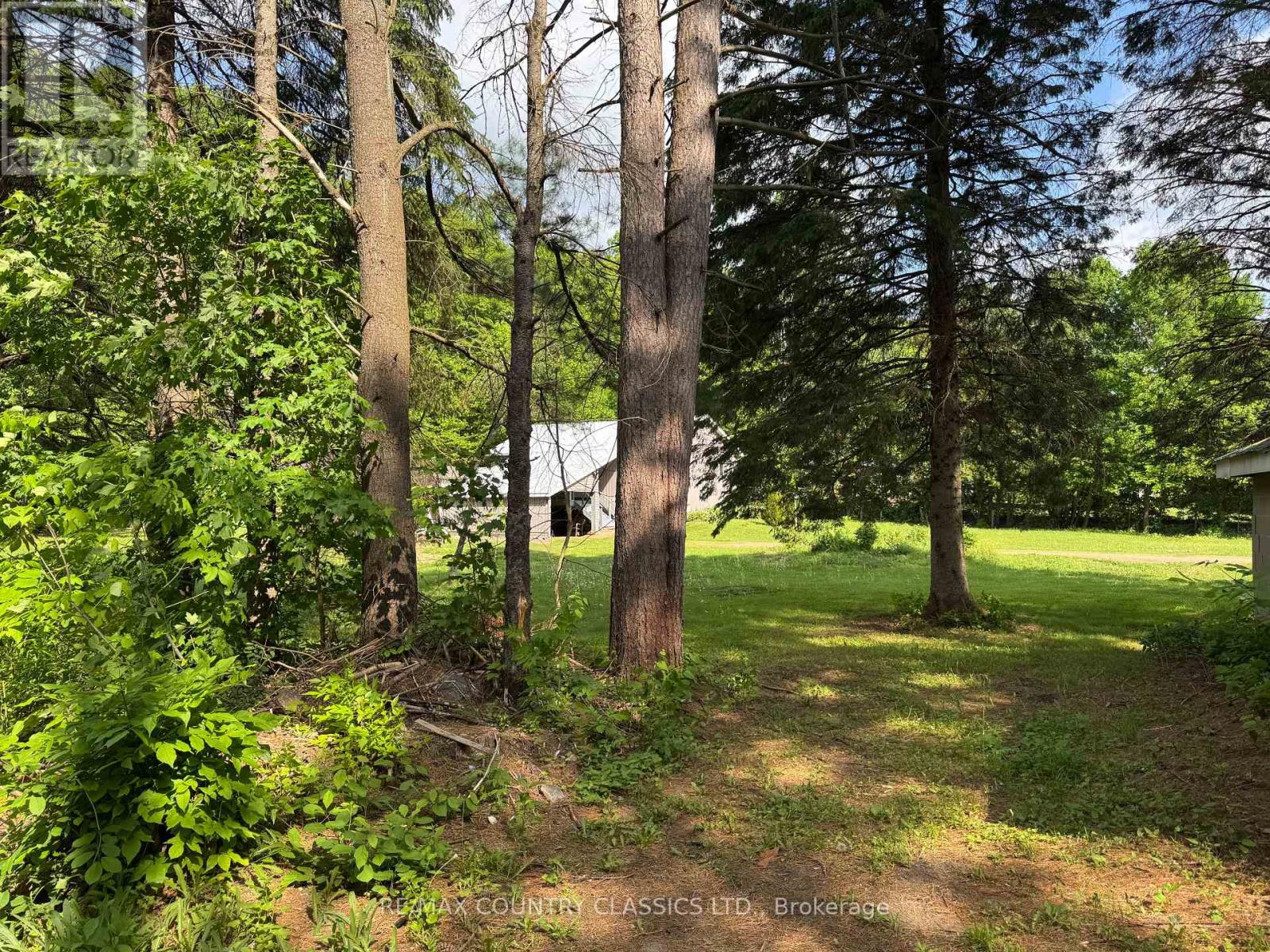 57 Cross Road, Faraday, Ontario  K0L 1C0 - Photo 5 - X12223012