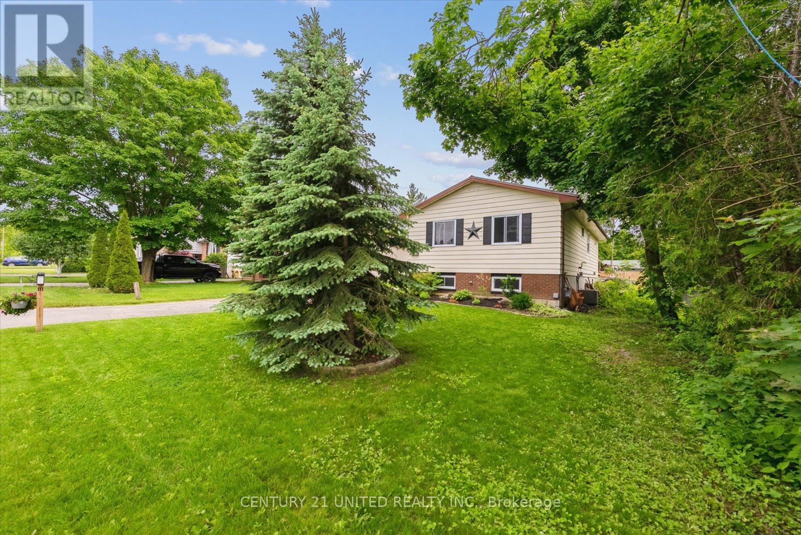 111 Albert Street, Selwyn, Ontario  K0L 2H0 - Photo 4 - X12223351