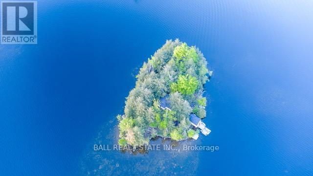 9 Island 4, Selwyn, Ontario  K0L 2H0 - Photo 2 - X12223709