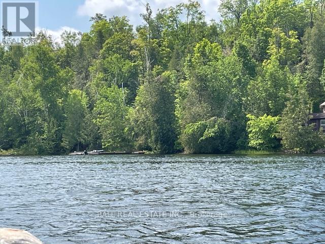 9 Island 4, Selwyn, Ontario  K0L 2H0 - Photo 7 - X12223709