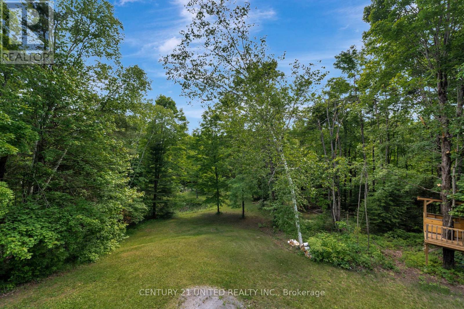 62 Mccauley's Road, North Kawartha, Ontario  K0L 1A0 - Photo 35 - X12224447