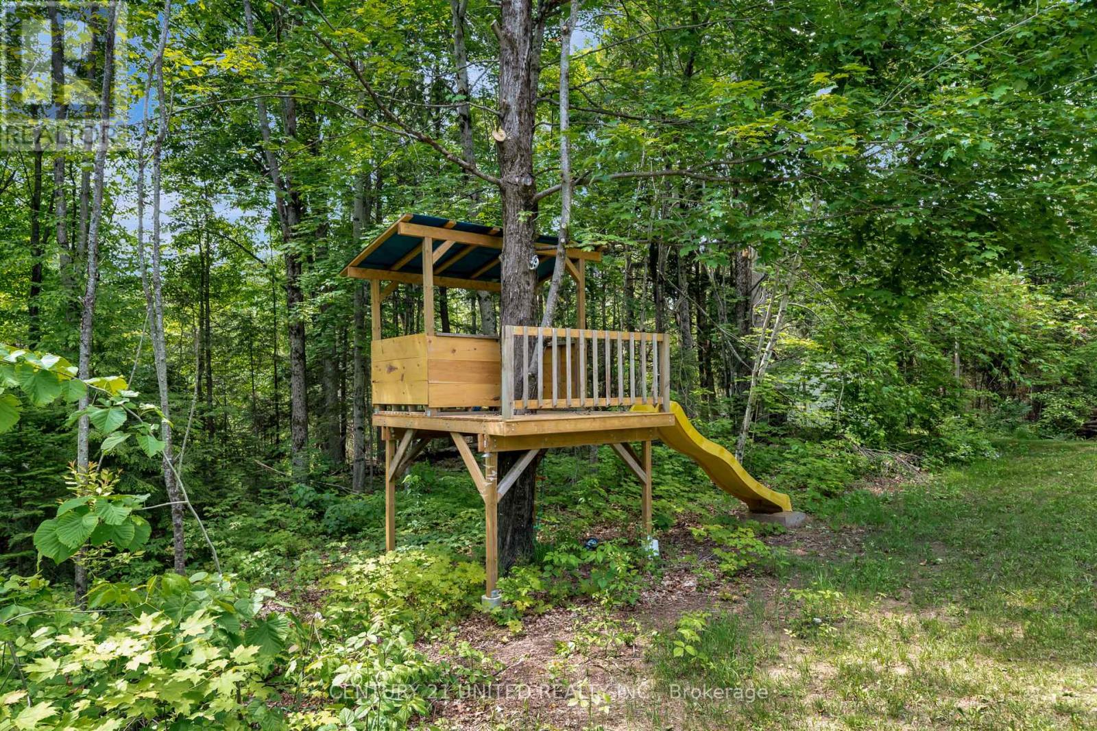 62 Mccauley's Road, North Kawartha, Ontario  K0L 1A0 - Photo 40 - X12224447