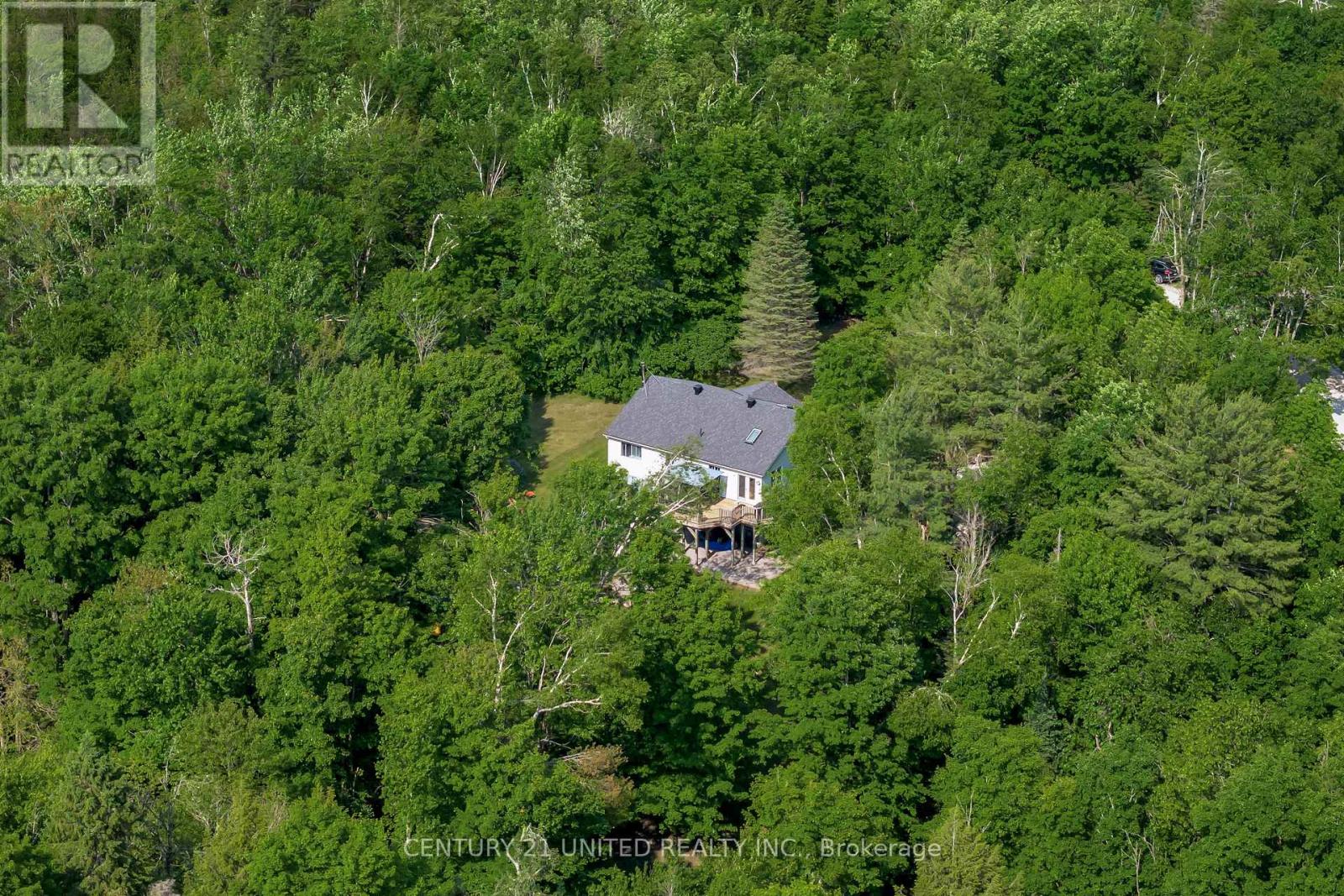 62 Mccauley's Road, North Kawartha, Ontario  K0L 1A0 - Photo 43 - X12224447