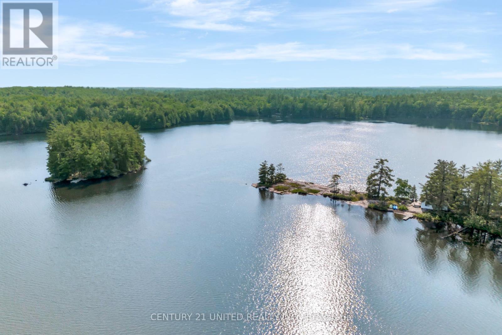 62 Mccauley's Road, North Kawartha, Ontario  K0L 1A0 - Photo 50 - X12224447