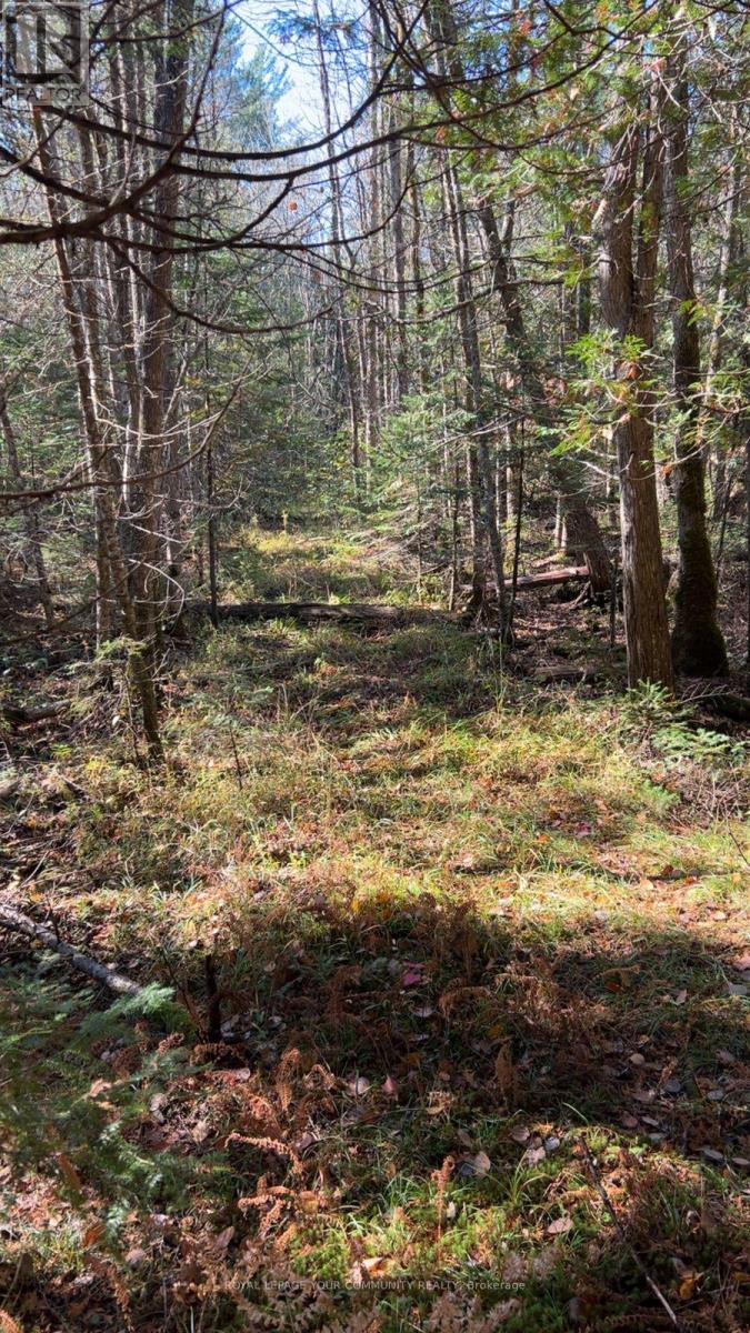Con 1 Lot 4, Hastings Highlands (Monteagle Ward), Ontario  K0L 2S0 - Photo 4 - X12224578