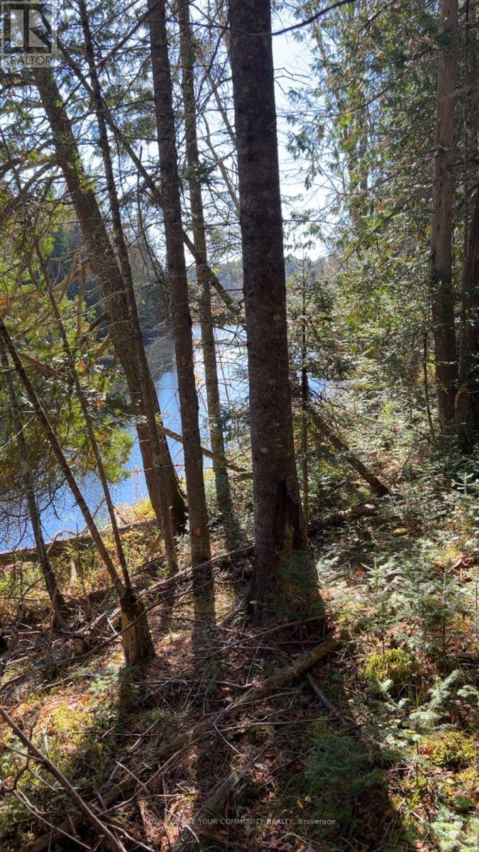 Con 1 Lot 4, Hastings Highlands (Monteagle Ward), Ontario  K0L 2S0 - Photo 9 - X12224578