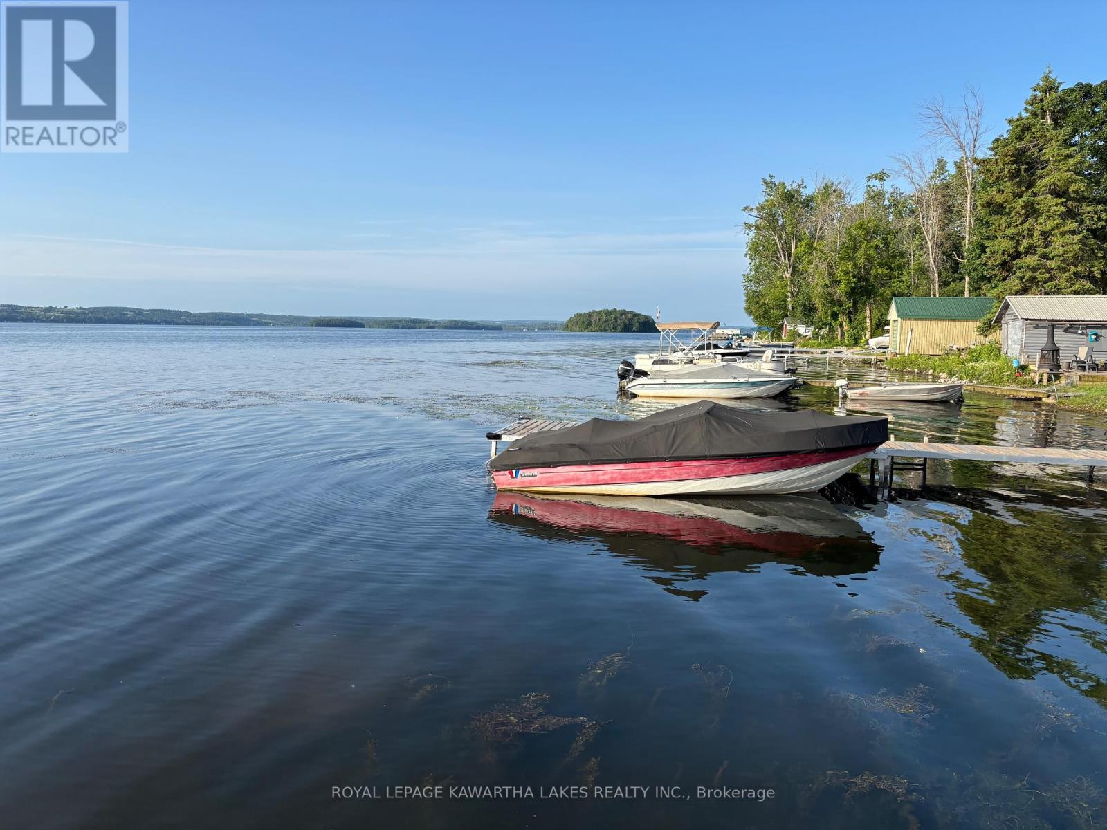 595 Foley Road, Otonabee-South Monaghan, Ontario  K0L 2G0 - Photo 39 - X12225522