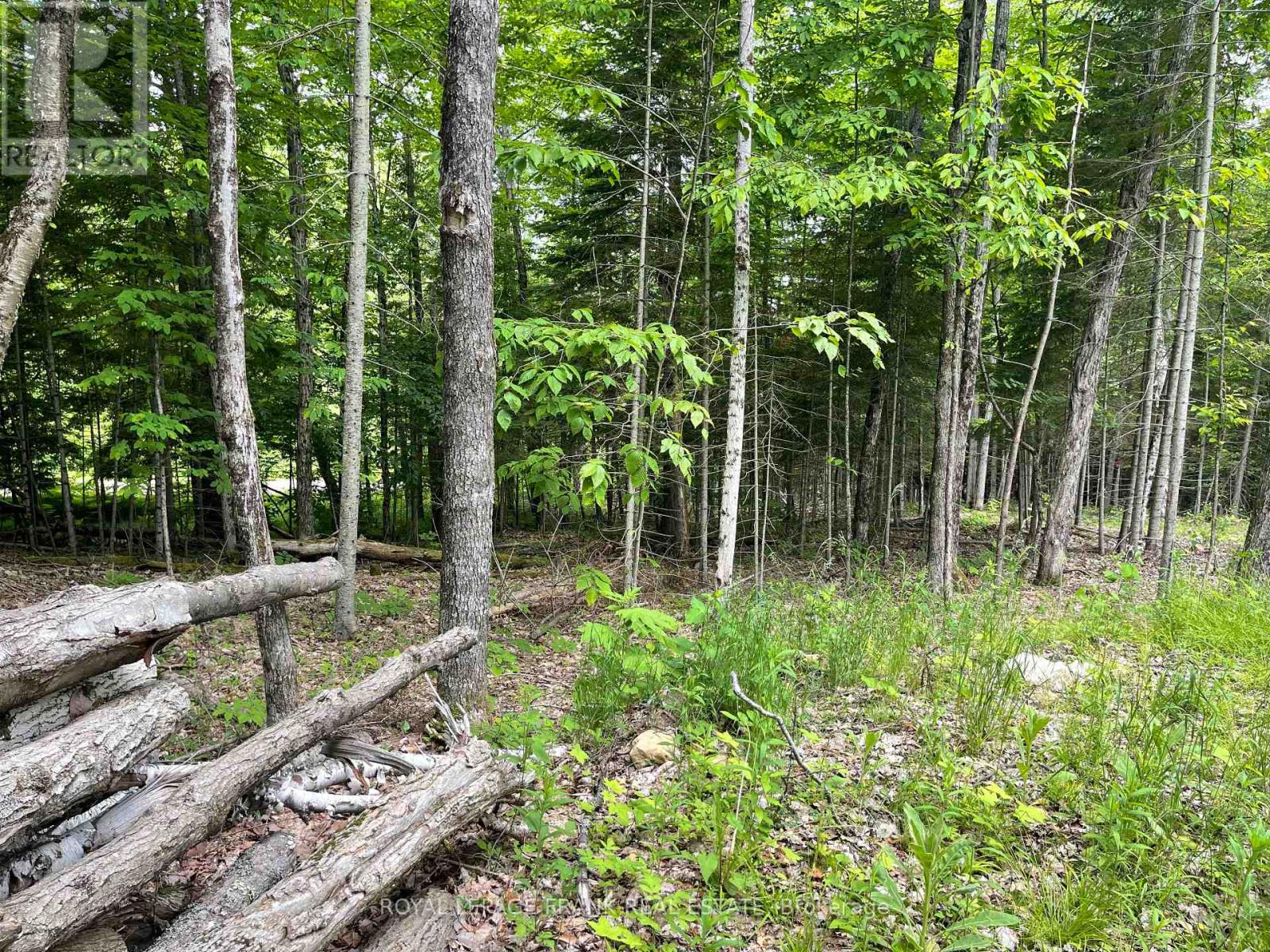1496 South Baptiste Lk Road, Hastings Highlands (Herschel Ward), Ontario  K0L 1C0 - Photo 4 - X12226413