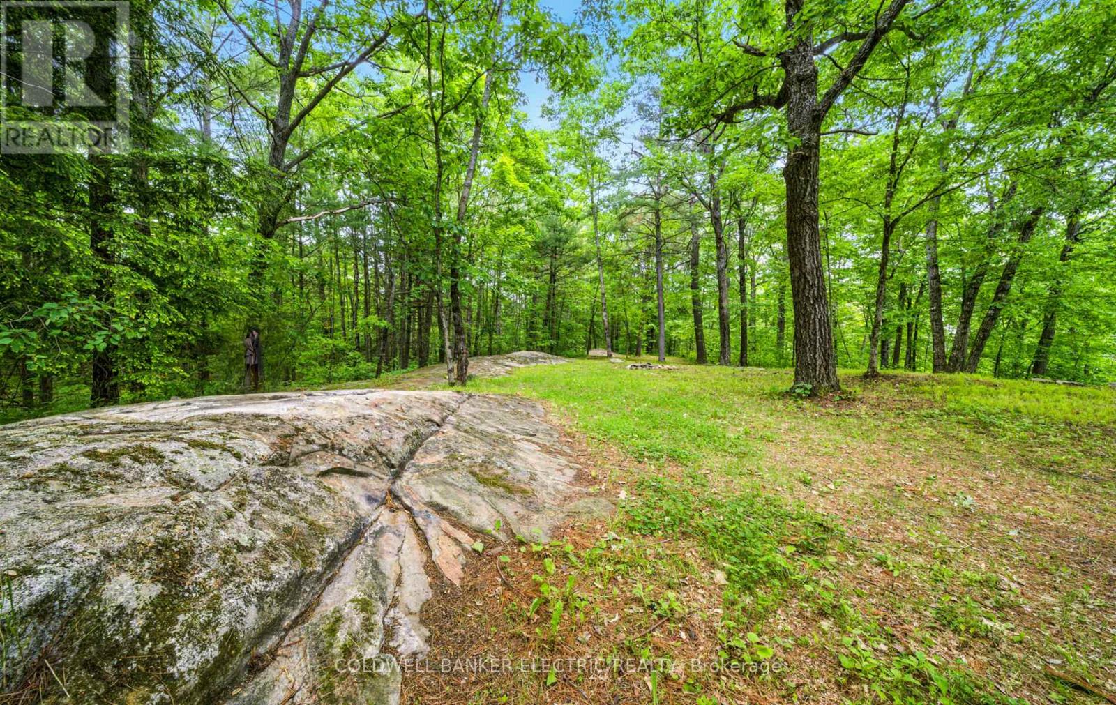 199 Fire Route 87, Havelock-Belmont-Methuen, Ontario  K0L 1A0 - Photo 11 - X12226637