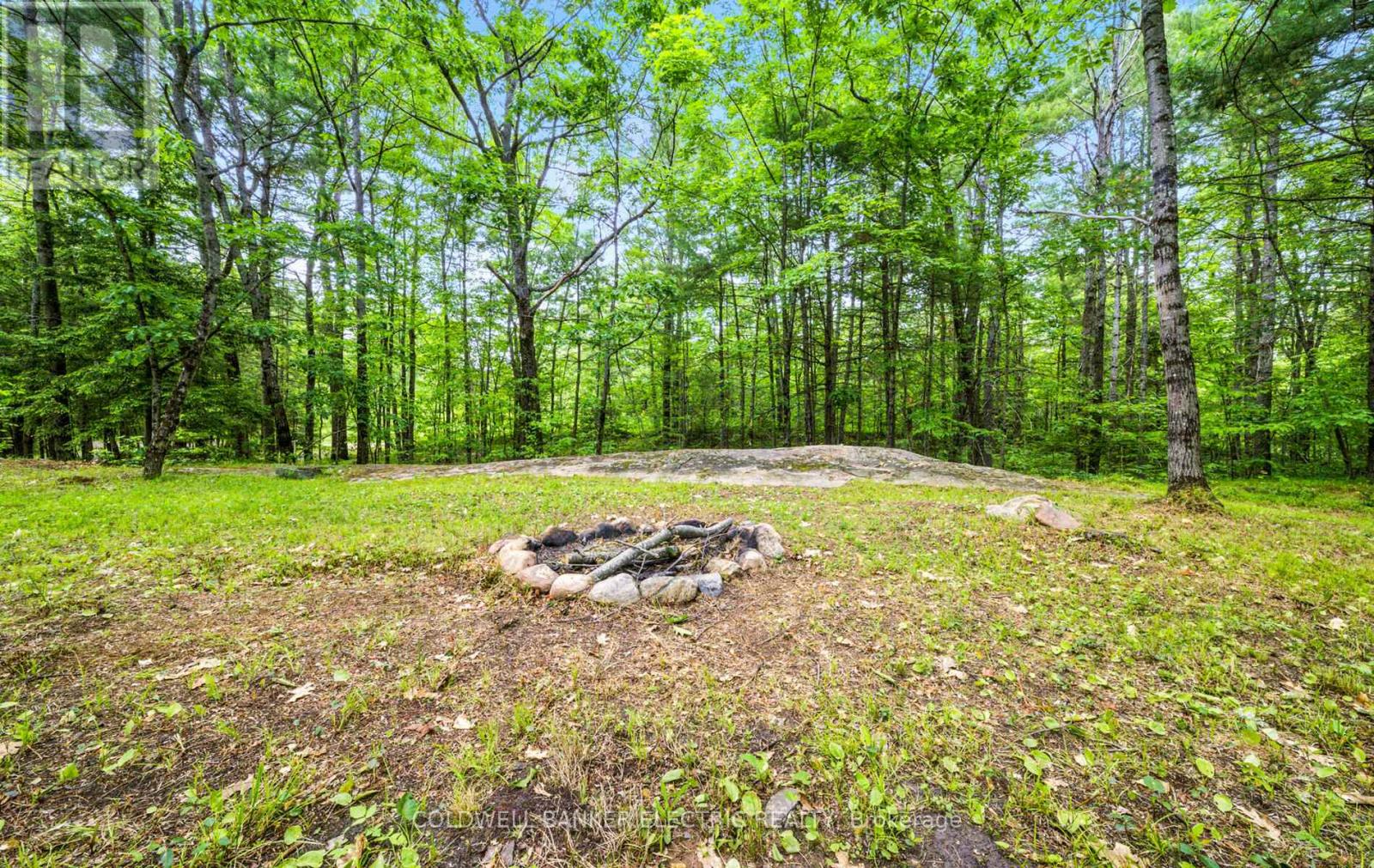 199 Fire Route 87, Havelock-Belmont-Methuen, Ontario  K0L 1A0 - Photo 12 - X12226637