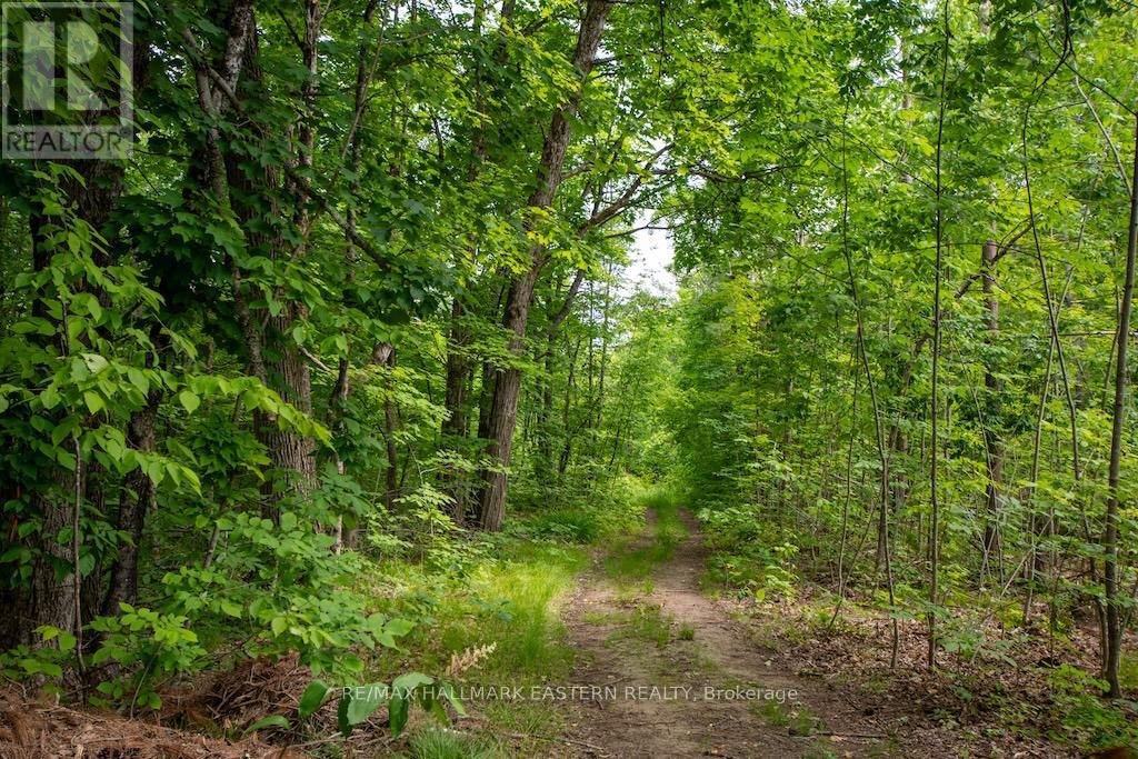 6155 Highway 28 E, North Kawartha, Ontario  K0L 3E0 - Photo 33 - X12227293