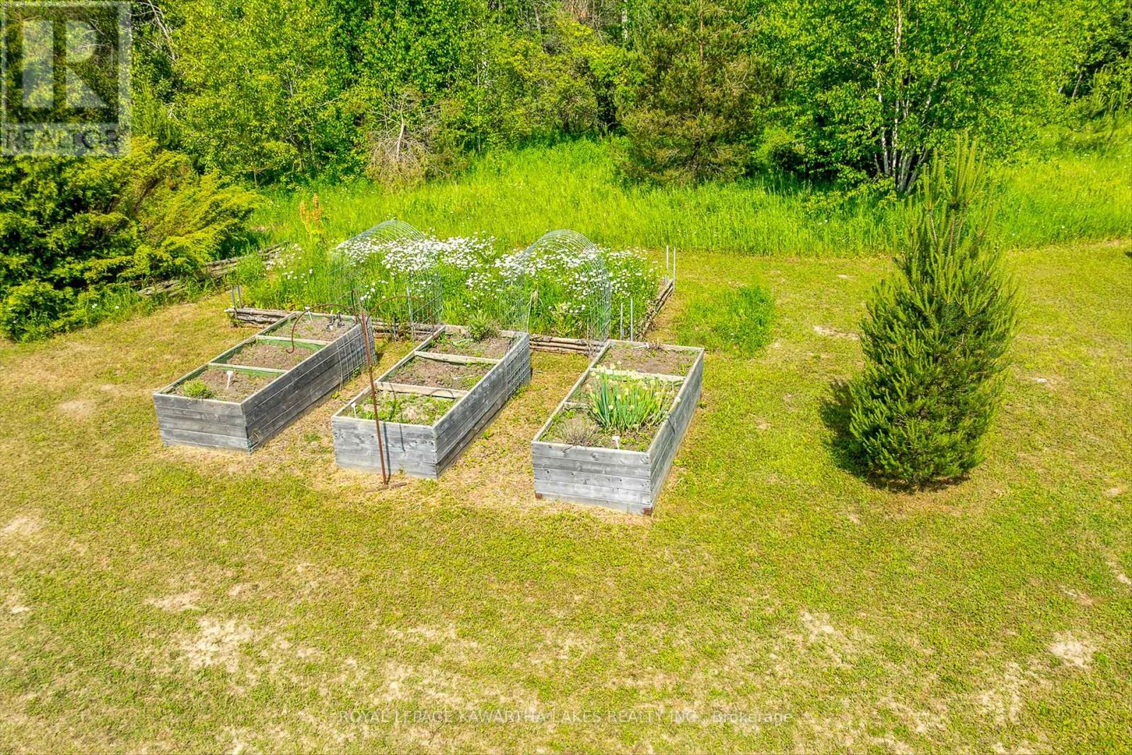 563 Heights Road, Kawartha Lakes (Ops), Ontario  K0L 2X0 - Photo 33 - X12228457