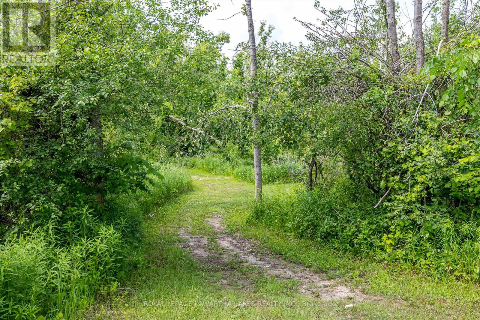 563 Heights Road, Kawartha Lakes (Ops), Ontario  K0L 2X0 - Photo 41 - X12228457