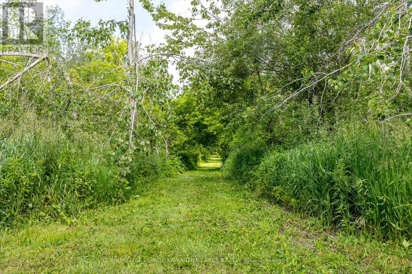 563 Heights Road, Kawartha Lakes (Ops), Ontario  K0L 2X0 - Photo 42 - X12228457