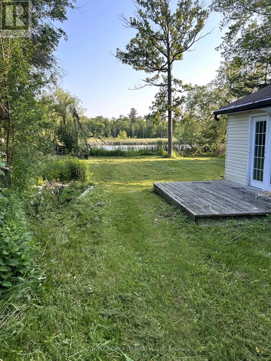 251 River Road, Trent Hills, Ontario  K0L 1L0 - Photo 6 - X12228492
