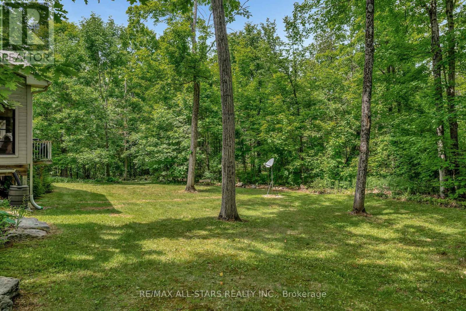 536 Golf Course Road, Douro-Dummer, Ontario  K0L 2H0 - Photo 48 - X12228515