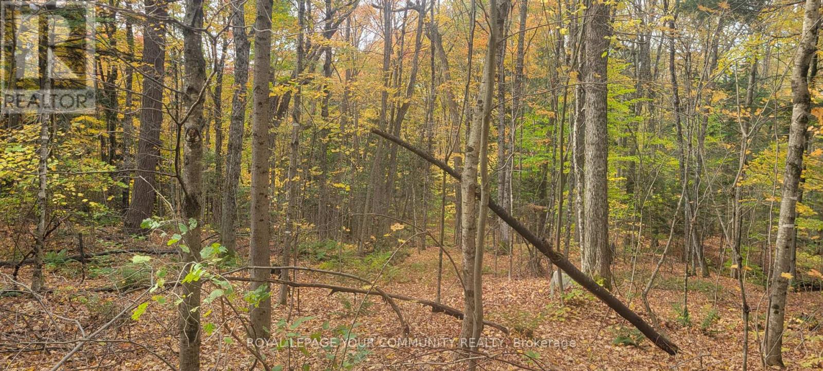 0 Tusk Trail, Dysart Et Al (Harcourt), Ontario  K0L 1C0 - Photo 2 - X12228836